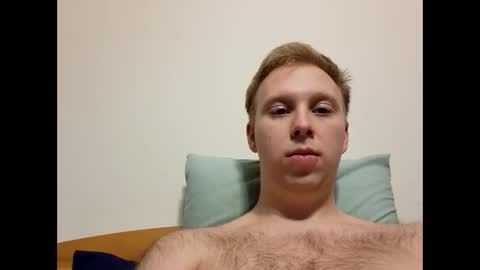 meow732 online show from 11-06-25, 12:22