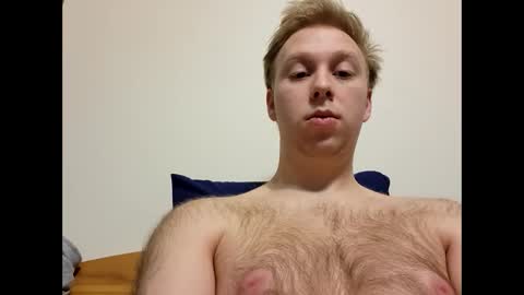 meow732 online show from 12-04-25, 03:38