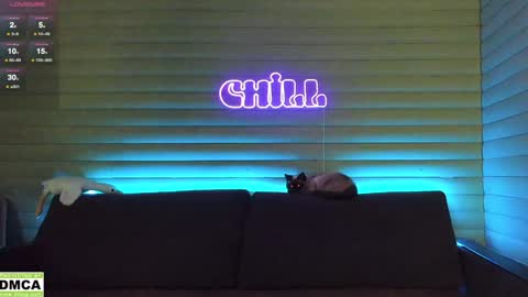  NIKKY  STIVE     Every day from 1000  to 200  EST time. online show from 01-06-25, 05:08