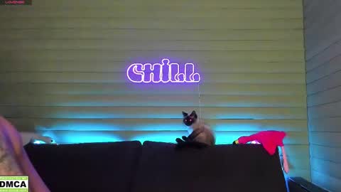  NIKKY  STIVE     Every day from 1000  to 200  EST time. online show from 01-11-25, 03:31