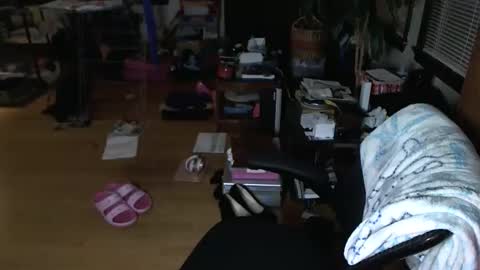 Tsukiko online show from 12-24-24, 01:28