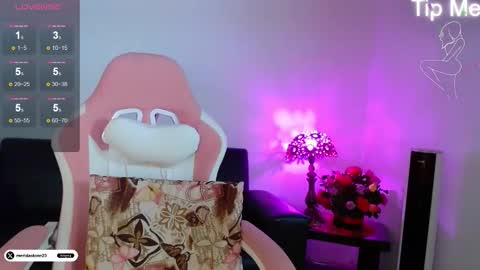 Snapshot of meridastonex chatting on 02-18-26, 11:44 Merida online show from 02-18-26, 11:44