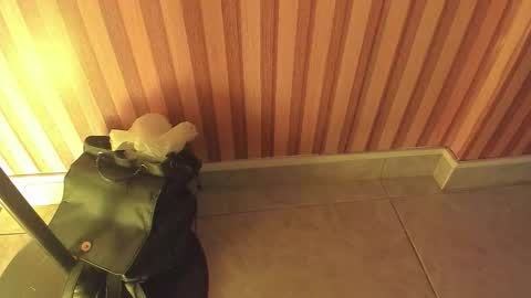 mia__blaze_ online show from 02-05-26, 03:00