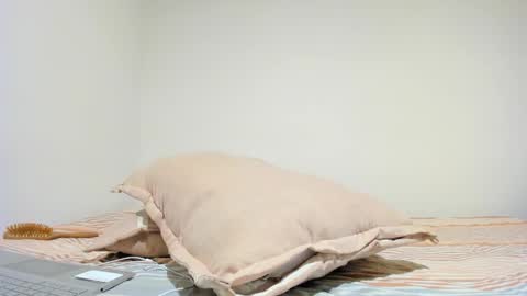 MIA INDEPENDENT MODEL  online show from 10-16-25, 05:03