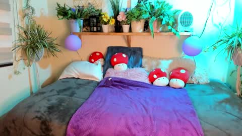 Miaa online show from 03-10-26, 08:25