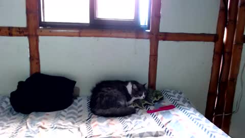 Snapshot of miahells chatting on 11-24-25, 04:18 Mia Sam online show from 11-24-25, 04:18