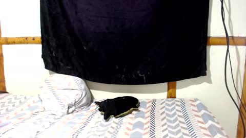 Snapshot of miahells chatting on 12-16-25, 04:01 Mia Sam online show from 12-16-25, 04:01