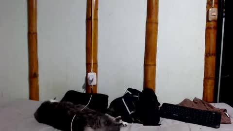 Snapshot of miahells chatting on 01-17-26, 11:41 Mia Sam online show from 01-17-26, 11:41