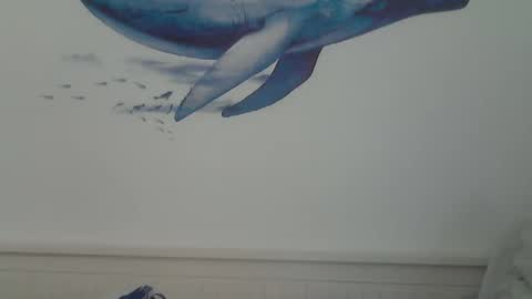 Snapshot of midhir chatting on 01-15-25, 07:44 kike online show from 01-15-25, 07:44