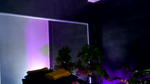 Alice online show from 02-13-25, 08:38