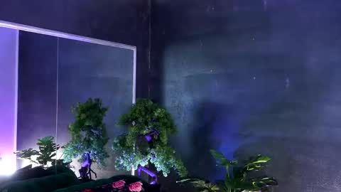 Alice online show from 03-07-25, 11:07