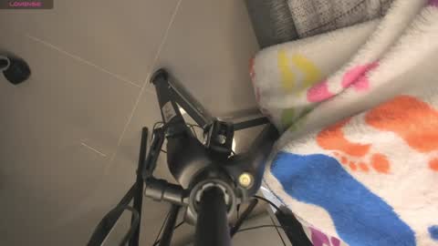 midori__san online show from 12-14-24, 02:42