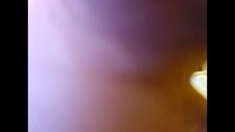 Snapshot of midwest_stroker chatting on 11-29-25, 03:31 Midwest stroker online show from 11-29-25, 03:31