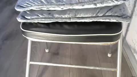 mike26051 online show from 12-15-25, 03:27