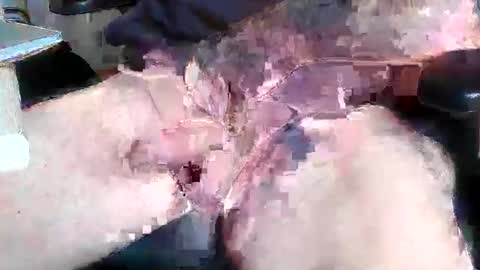 Snapshot of mikefun4711 chatting on 10-28-25, 08:29 mikefun4711 online show from 10-28-25, 08:29