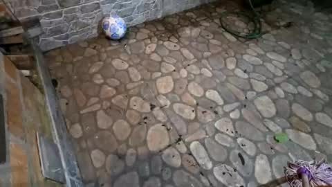 miky17cm online show from 01-15-26, 05:01