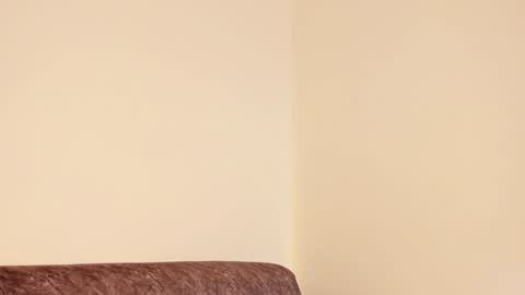     online show from 12-28-24, 10:14