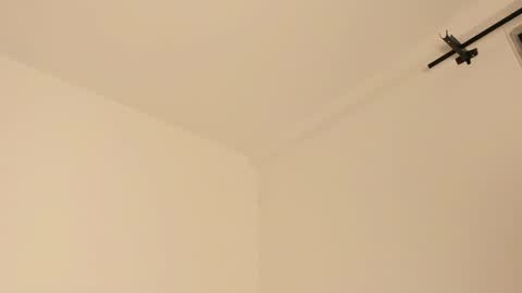     online show from 02-14-25, 07:28