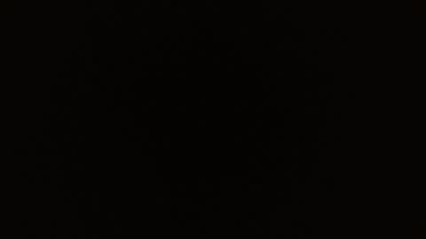 Rosalie  online show from 03-01-26, 11:01