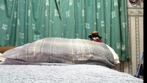 Snapshot of milfy72 chatting on 01-30-25, 10:41 milfy72 online show from 01-30-25, 10:41