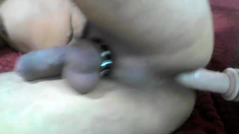Snapshot of milowolf69 chatting on 07-28-26, 01:01 milowolf69 online show from 07-28-26, 01:01