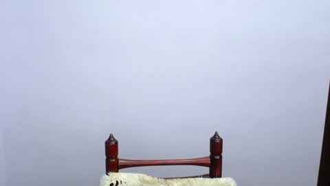 MINATO online show from 12-19-24, 11:25