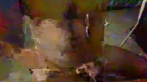 Snapshot of minoas31 chatting on 12-09-24, 06:46 minoas31 online show from 12-09-24, 06:46