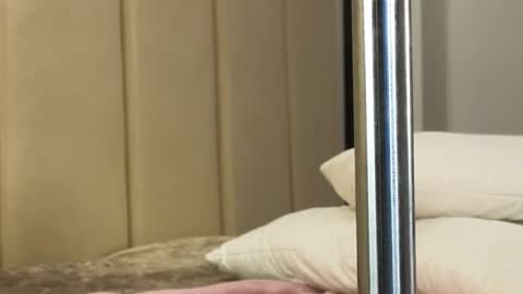 Snapshot of misatosan_ chatting on 01-11-25, 01:11 Annie dont forget to thumbs up me online show from 01-11-25, 01:11