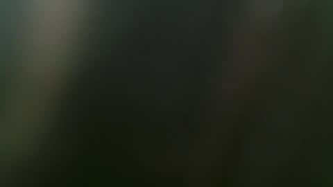 Misha online show from 02-15-25, 03:50