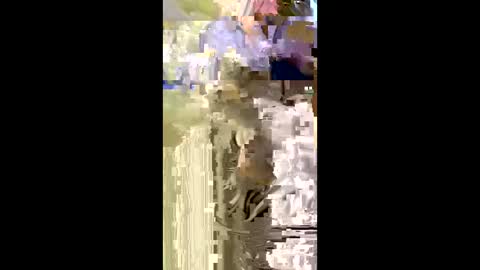 Snapshot of misnicol chatting on 01-05-26, 07:50 Nicol online show from 01-05-26, 07:50