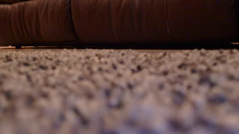 misohoney007 online show from 04-14-26, 10:21