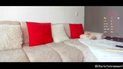 Snapshot of misscharlottek chatting on 07-17-26, 08:14 Charlotte independent model online show from 07-17-26, 08:14