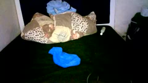 VAL online show from 01-07-26, 08:39