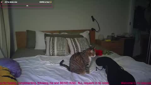 missemmbeex online show from 03-02-26, 08:59