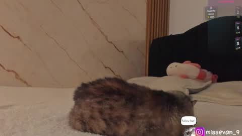 Snapshot of missevan chatting on 04-22-26, 12:39 Sami Evan online show from 04-22-26, 12:39