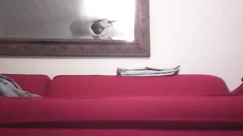 Snapshot of misshollywoodbaby chatting on 09-14-25, 11:48 misshollywoodbaby online show from 09-14-25, 11:48