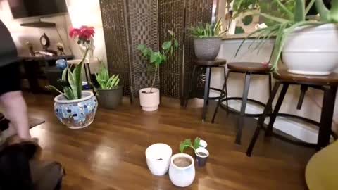 Snapshot of missjuicypeaches chatting on 01-21-25, 12:39 Bhadbarbie online show from 01-21-25, 12:39