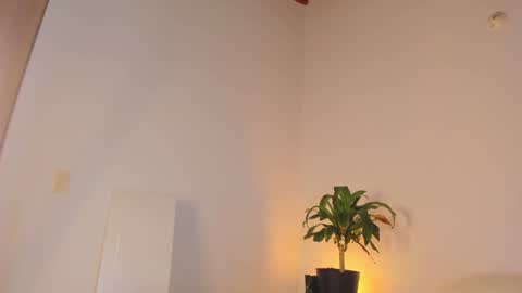 misspaulag online show from 01-31-25, 04:03