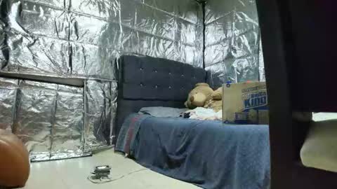 Snapshot of missstres_scarleth chatting on 11-24-25, 02:55 SCARLETH online show from 11-24-25, 02:55