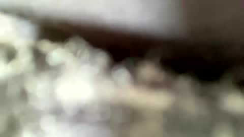 Snapshot of mistajay90 chatting on 09-08-25, 04:06 mistajay90 online show from 09-08-25, 04:06