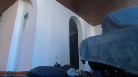 mistersam33 online show from 02-10-25, 01:44