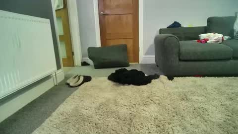 misterycouple12 online show from 12-27-24, 04:04