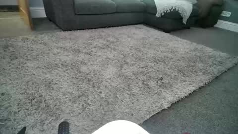 misterycouple12 online show from 04-07-26, 11:59