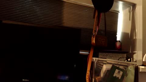 mistressdannydarko online show from 06-21-26, 11:18