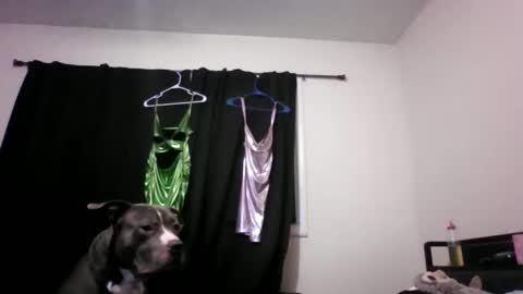 Snapshot of miztrezk chatting on 05-12-26, 02:08 miztrezk online show from 05-12-26, 02:08