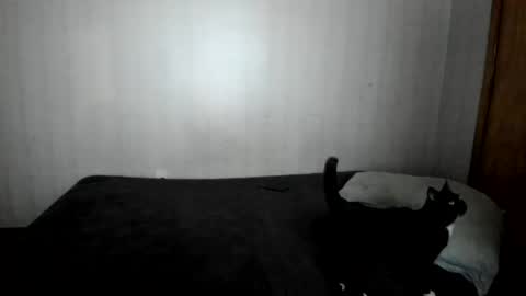 MizzKittay online show from 02-26-25, 12:03