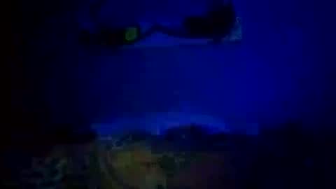 Daddy720 online show from 10-14-25, 11:05