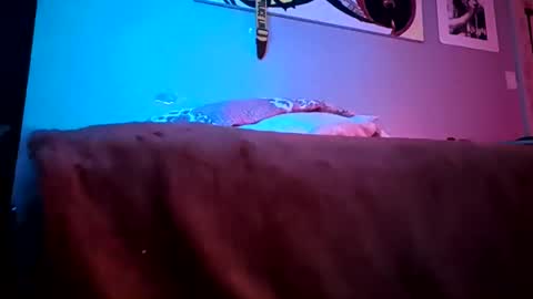 Daddy720 online show from 03-22-26, 11:41