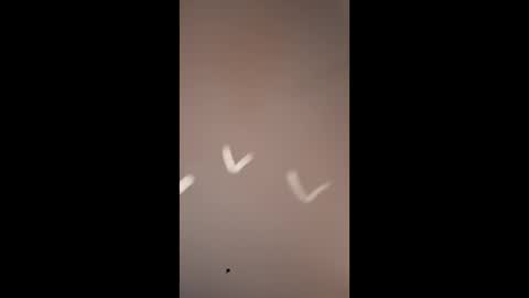 Mike4using online show from 03-10-26, 10:20