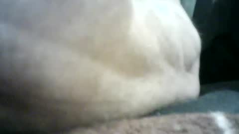 Snapshot of mlkklm47 chatting on 01-02-25, 04:13 mlkklm47 online show from 01-02-25, 04:13